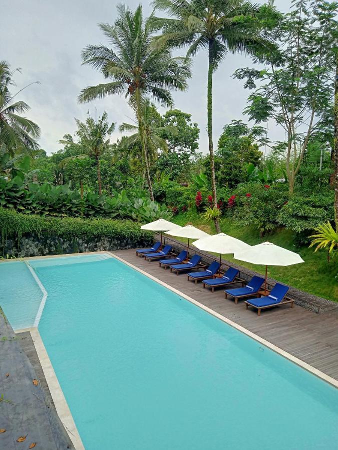 Teras Hotel Ijen Banyuwangi Banyuwangi  Exterior photo